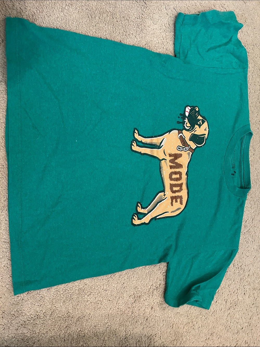 Kid’s Baseballism Green Dog Graphic Tee with Beast mode from Sandlot.